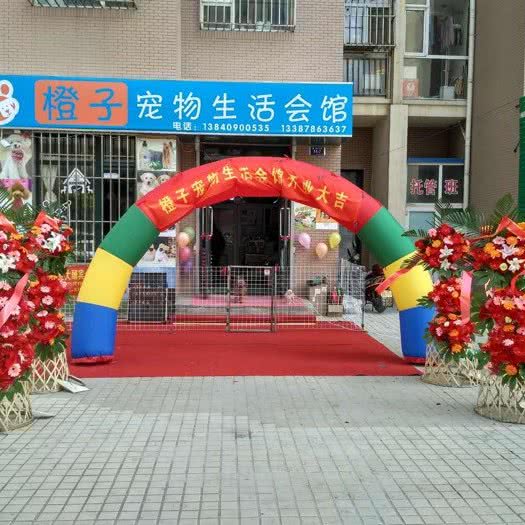 橙子宠物生活馆:大连市甘井子区泉水附近