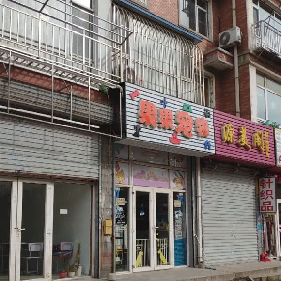 果果宠物:大连市甘井子区泉水附近