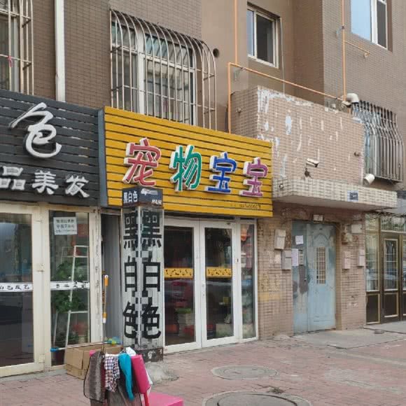 宠物宝宝:大连市甘井子区泉水附近