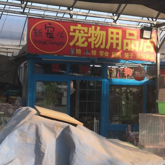 新宠儿宠物用品店:大连市甘井子区泉水附近