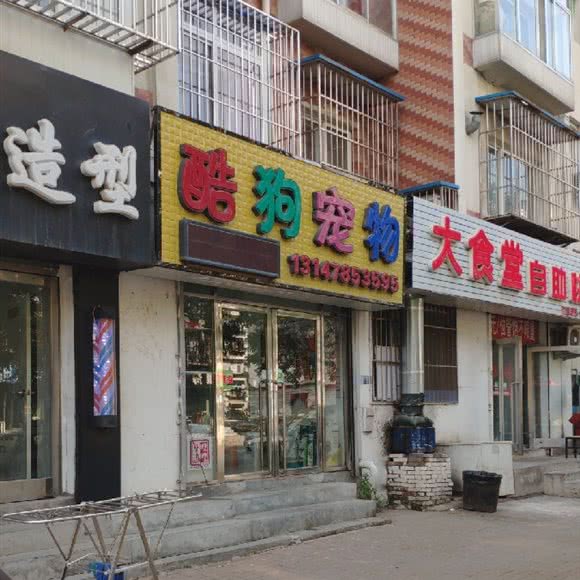 酷狗宠物:大连市甘井子区金州附近