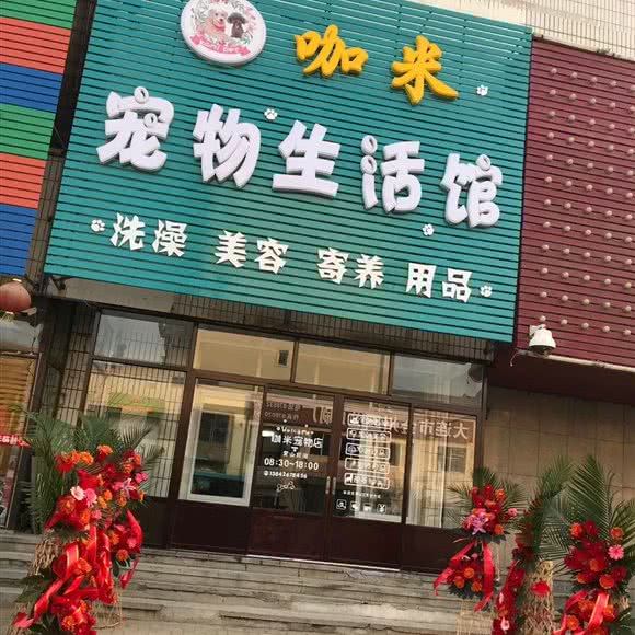 咖米宠物狗生活馆:大连市甘井子区金州附近