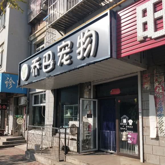 乔巴宠物:大连市甘井子区金州附近