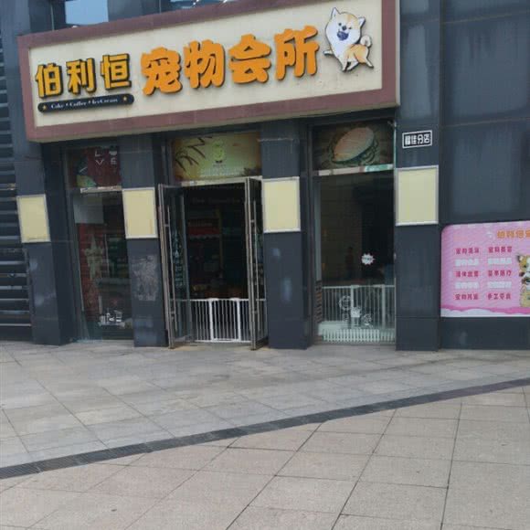 伯利恒宠物会所(福佳分店):大连市甘井子区金州附近