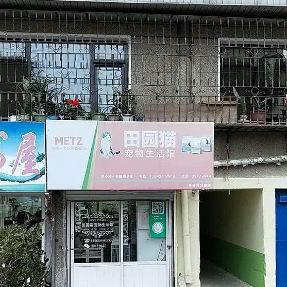 田园猫宠物生活馆:大连市甘井子区金州附近
