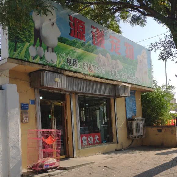 源谦宠物会馆:大连市甘井子区金州附近