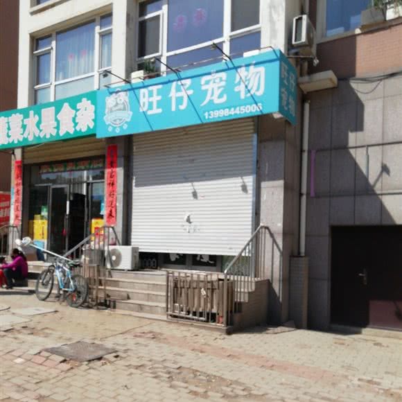旺仔宠物生活馆:大连市甘井子区金州附近