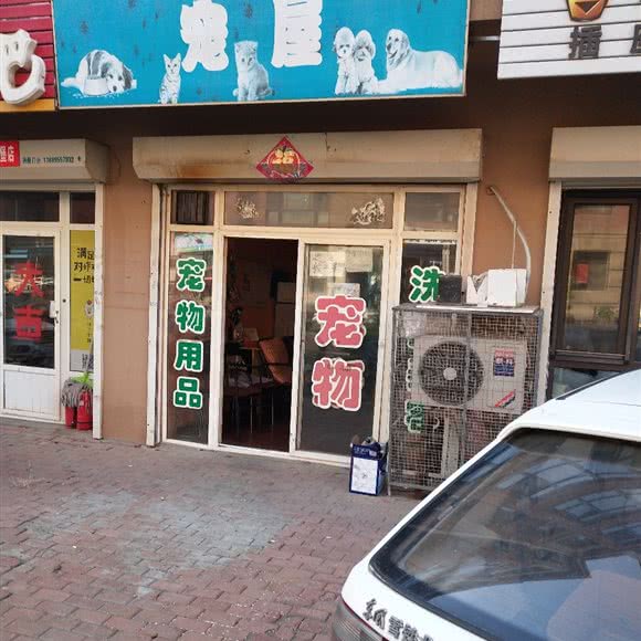 宠屋:大连市甘井子区金州附近
