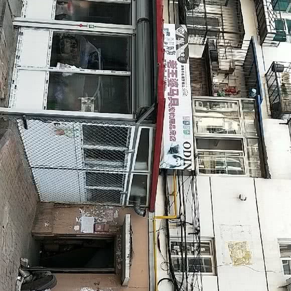 老王婆马具宠物用品商店:大连市甘井子区金州附近