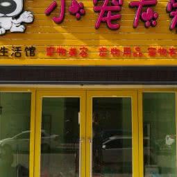 小宠大爱宠物生活馆:大连市甘井子区大连北站/南关岭附近