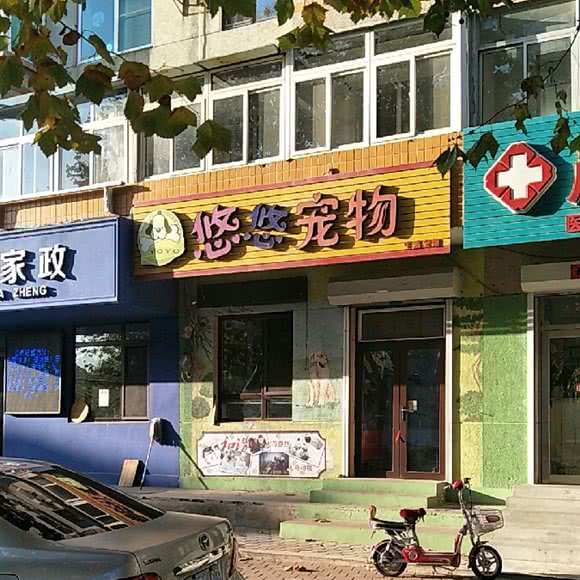 悠悠宠物:大连市旅顺口区旅顺附近