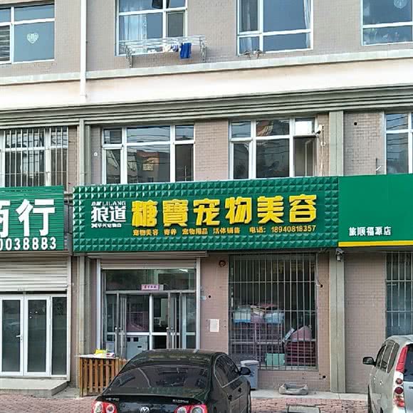 野猪道糖宝宠物美容:大连市旅顺口区旅顺附近