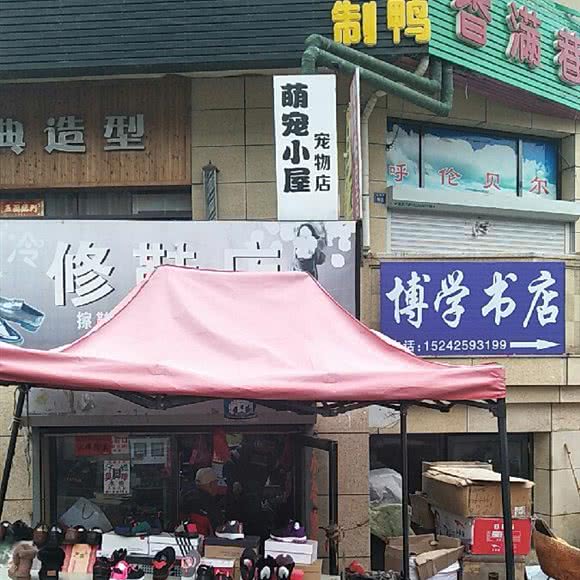 萌宠小屋:大连市旅顺口区旅顺附近