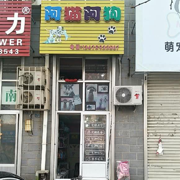 阿猫阿狗:大连市旅顺口区旅顺附近