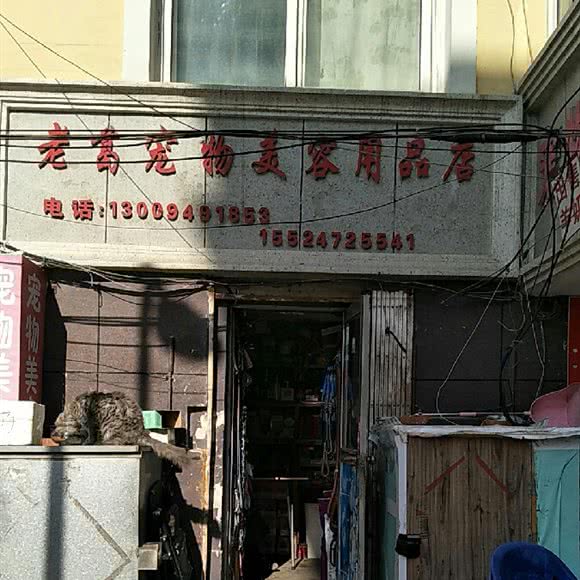 老葛宠物美容用品店:大连市旅顺口区旅顺附近