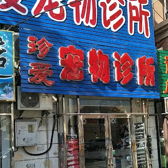 珍爱宠物诊所(旅顺口店):大连市旅顺口区旅顺附近
