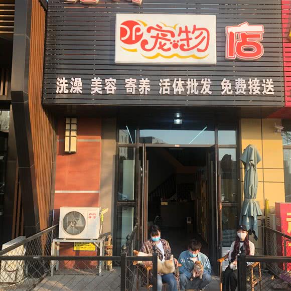 酷狗宠物店:大连市金州区开发区附近