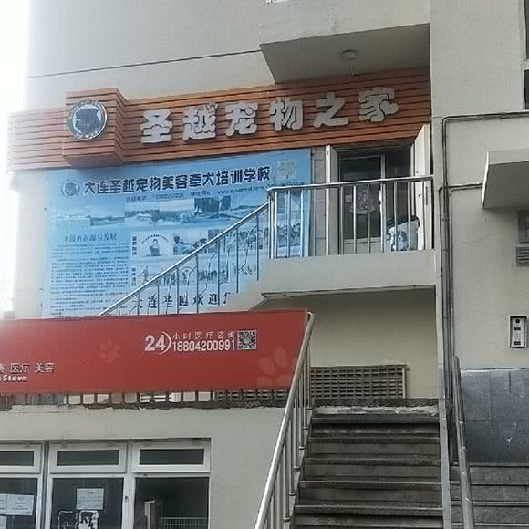 圣越宠物之家:大连市金州区开发区附近