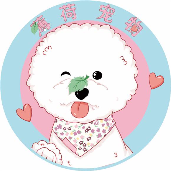 薄荷宠物:大连市金州区开发区附近