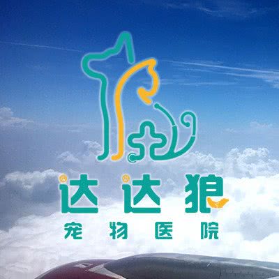 达达乌鸦宠物医院:大连市金州区开发区附近