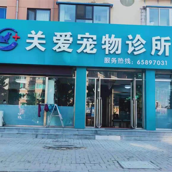 关爱宠物诊所:大连市金州区开发区附近