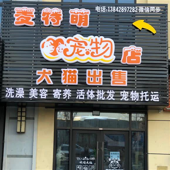 麦特萌宠物店:大连市金州区保税区附近