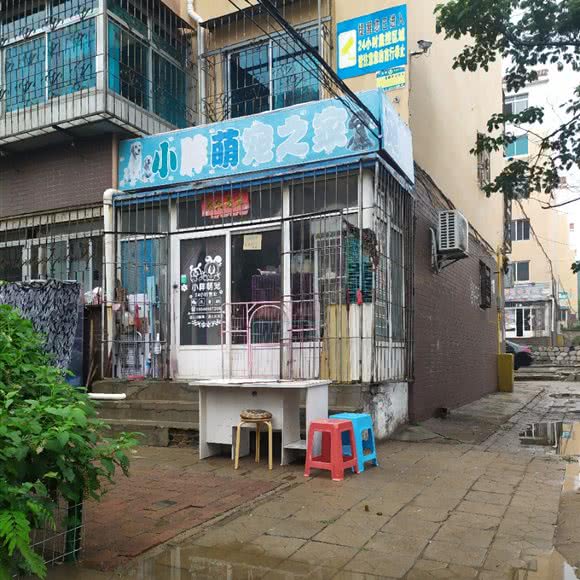 小胖萌宠之家:大连市金州区保税区附近