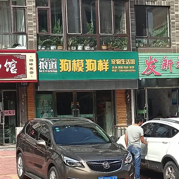 狗模狗样宠物生活馆:大连市庄河市城关街道附近