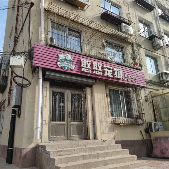 憨憨宠物(智慧城店):鞍山市铁东区高新区附近