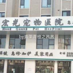 宏光宠物医院(高新店):鞍山市铁东区高新区附近