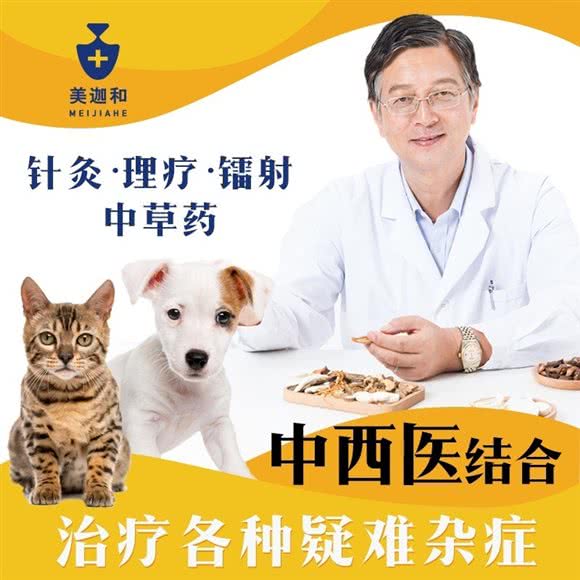 美迦和动物医院24半小时:北京城区朝阳区王四营附近
