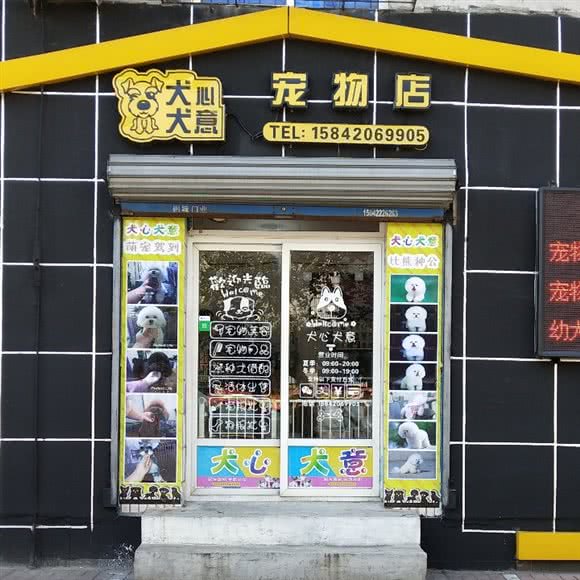 犬心犬意宠物店:鞍山市铁东区胜利路沿线附近