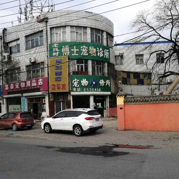 老槐树傅士宠物狗美容院:鞍山市铁西区人民路沿线附近