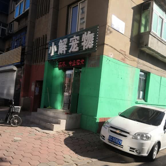 小解宠物:鞍山市铁西区人民路沿线附近