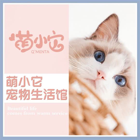 萌小它宠物(怡海店):北京城区丰台区总部基地附近