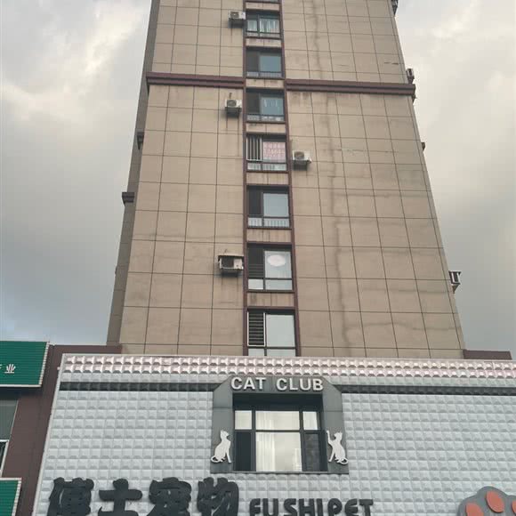 博士宠物名猫会馆:鞍山市铁西区千龙户附近
