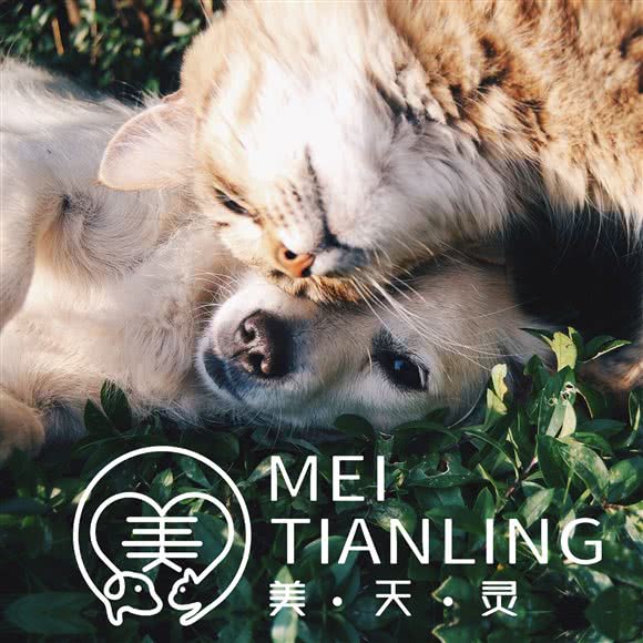 美天灵宠物(方庄店):北京城区丰台区方庄/蒲黄榆附近