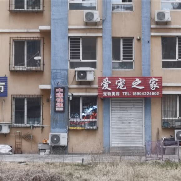 爱宠之十家:鞍山市铁西区同兴街附近