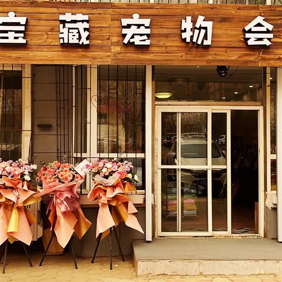 宝藏宠物狗会馆:鞍山市立山区立山附近