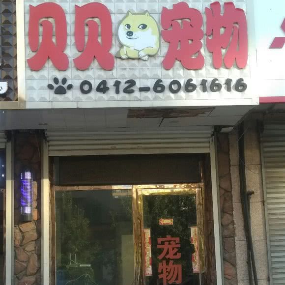 贝贝宠物:鞍山市立山区立山附近