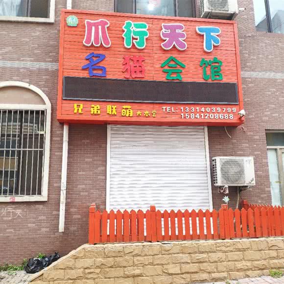 爪行天下名猫会馆:鞍山市立山区立山附近