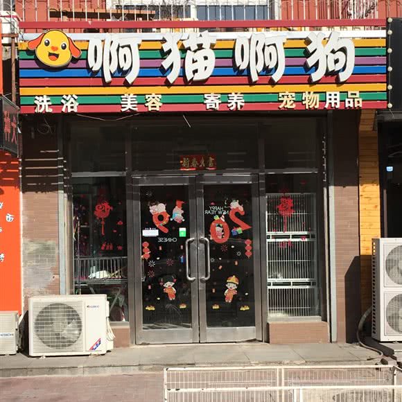 啊猫啊狗:鞍山市立山区太平附近