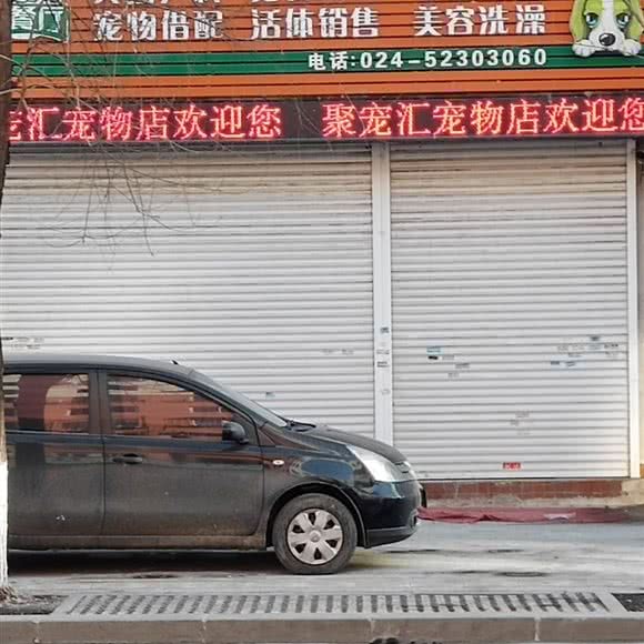聚宠汇宠物精品商行:抚顺市新抚区道街附近