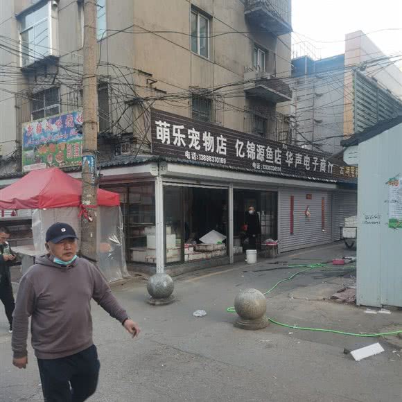 萌乐宠物店:抚顺市新抚区步行街附近
