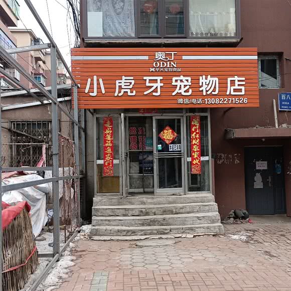小虎牙宠物店(西八路店):抚顺市新抚区步行街附近