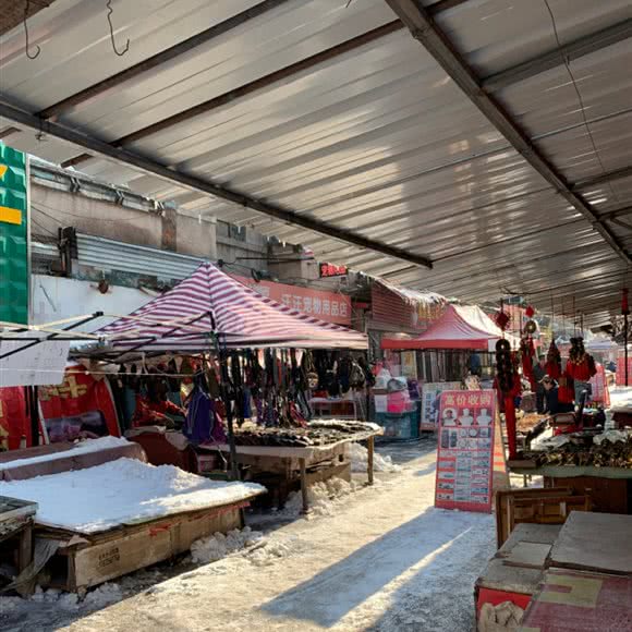 汪汪宠物店:抚顺市新抚区步行街附近
