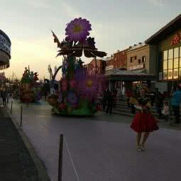 友间宠物屋:抚顺市望花区丹东路附近