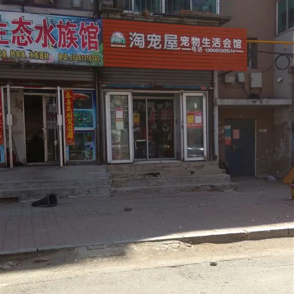奥丁·淘宠屋宠物生活会馆:抚顺市望花区望花七百附近