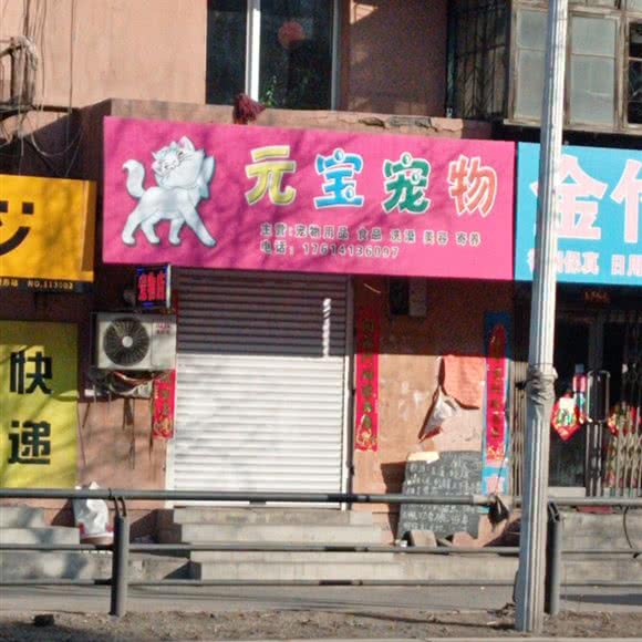 元宝宠物店:抚顺市望花区望花大街/北镇街附近