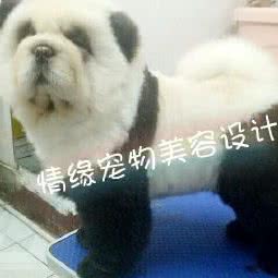 情缘宠物美容设计:抚顺市顺城区北站附近